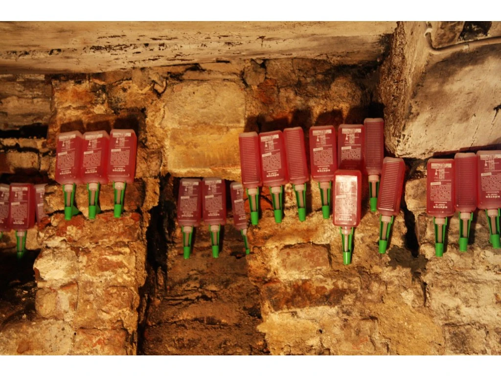 KÖSTER Crisin 76 Concentrate