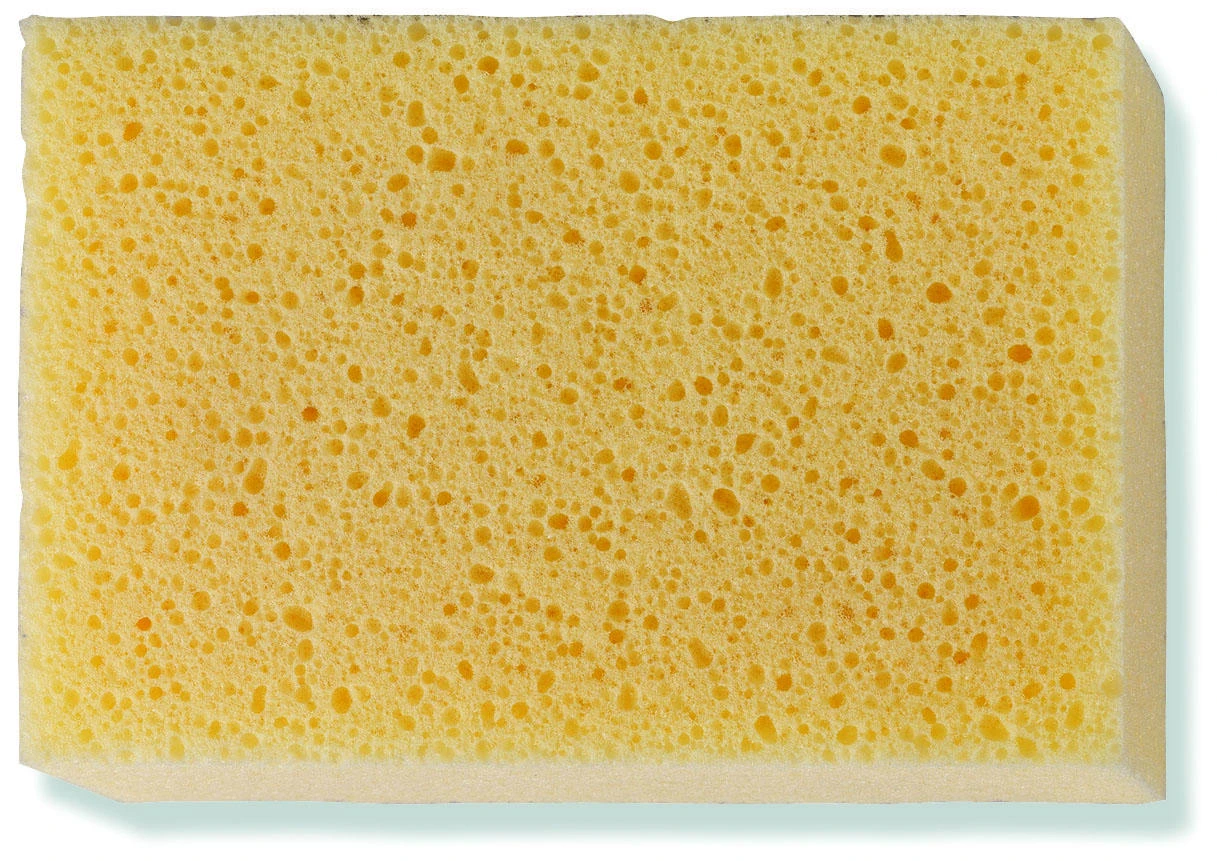 Huba na čistenie