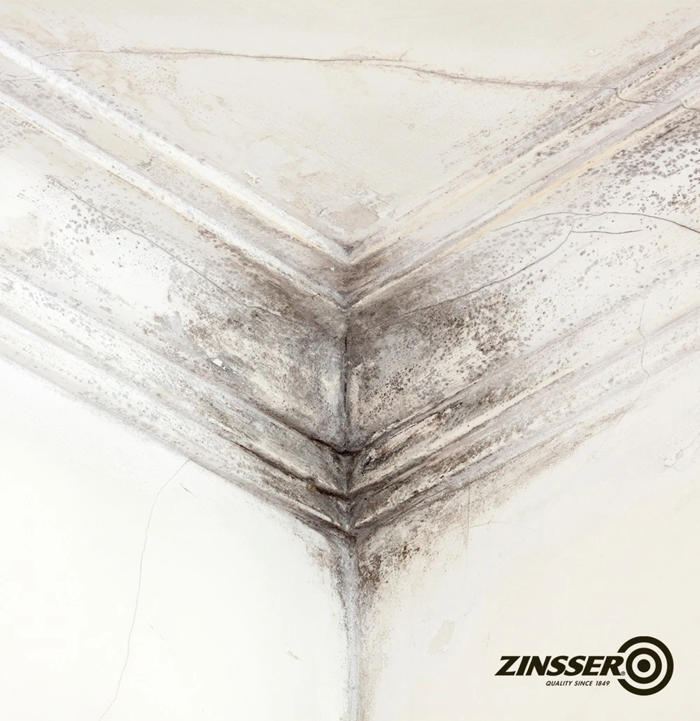 Zinsser PermaWhite Matt
