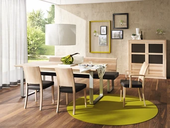 ADLER Legno Reiniger