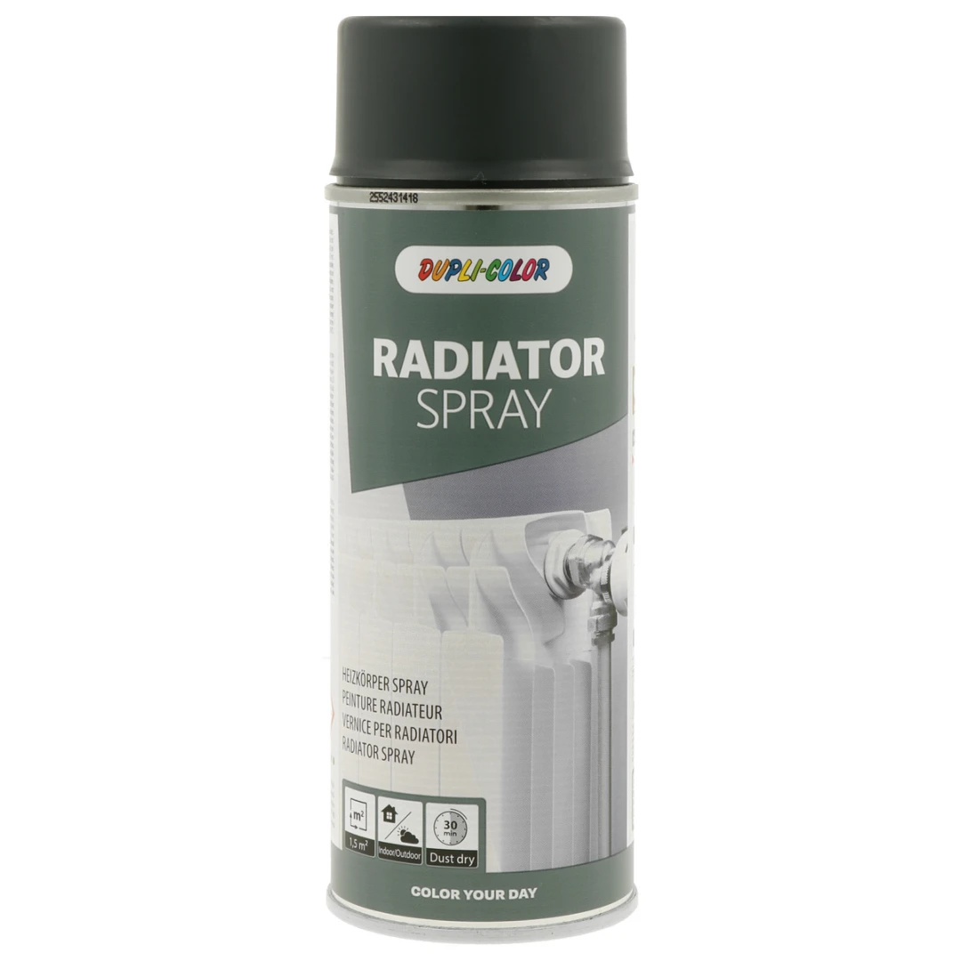 Dupli Color RADIATOR Spray