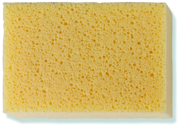 Huba na čistenie